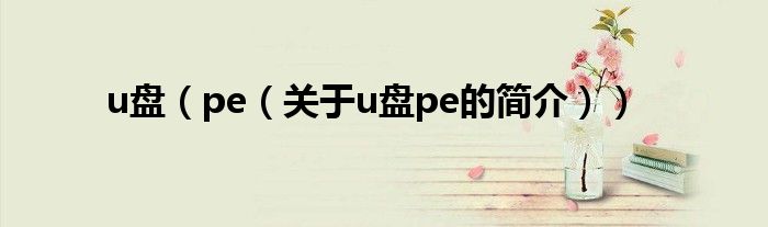 u盤(pán)（pe（關(guān)于u盤(pán)pe的簡(jiǎn)介））