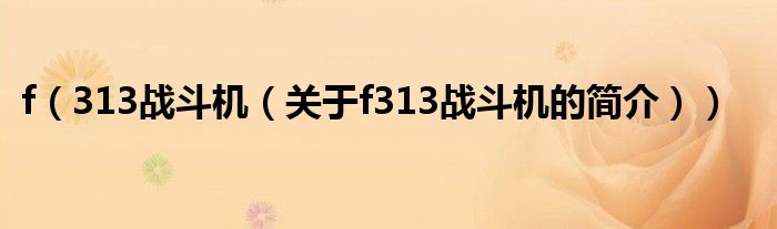 f（313戰(zhàn)斗機(jī)（關(guān)于f313戰(zhàn)斗機(jī)的簡(jiǎn)介））