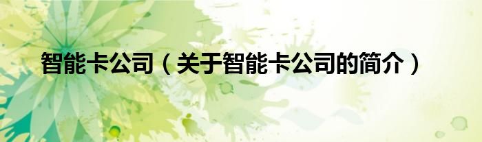 智能卡公司（關(guān)于智能卡公司的簡(jiǎn)介）