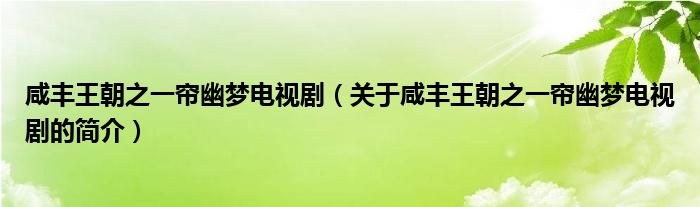 咸豐王朝之一簾幽夢電視?。P(guān)于咸豐王朝之一簾幽夢電視劇的簡介）