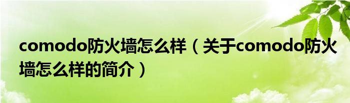 comodo防火墻怎么樣（關(guān)于comodo防火墻怎么樣的簡介）