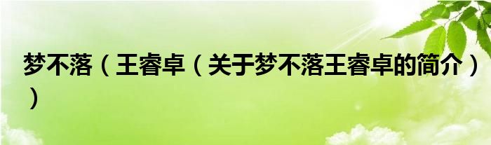 夢不落（王睿卓（關(guān)于夢不落王睿卓的簡介））