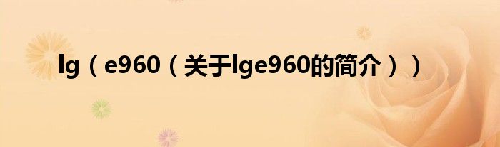 lg（e960（關(guān)于lge960的簡介））