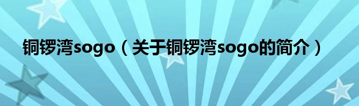 銅鑼灣sogo（關于銅鑼灣sogo的簡介）