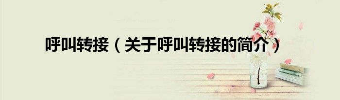 呼叫轉接（關于呼叫轉接的簡介）