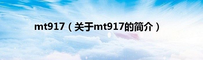 mt917（關(guān)于mt917的簡介）