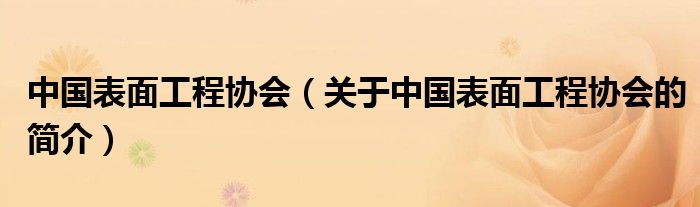 中國表面工程協(xié)會(huì)（關(guān)于中國表面工程協(xié)會(huì)的簡介）