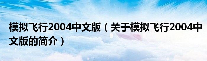 模擬飛行2004中文版（關(guān)于模擬飛行2004中文版的簡(jiǎn)介）