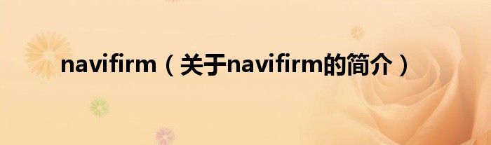 navifirm（關于navifirm的簡介）