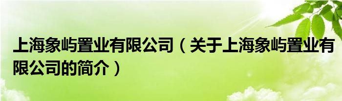 上海象嶼置業(yè)有限公司（關(guān)于上海象嶼置業(yè)有限公司的簡(jiǎn)介）