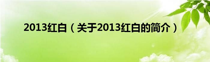 2013紅白（關(guān)于2013紅白的簡(jiǎn)介）