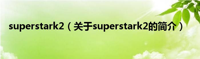 superstark2（關(guān)于superstark2的簡(jiǎn)介）