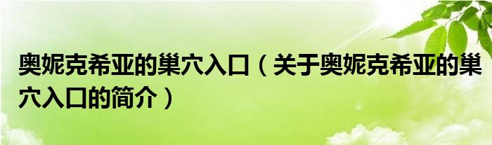 奧妮克希亞的巢穴入口（關于奧妮克希亞的巢穴入口的簡介）