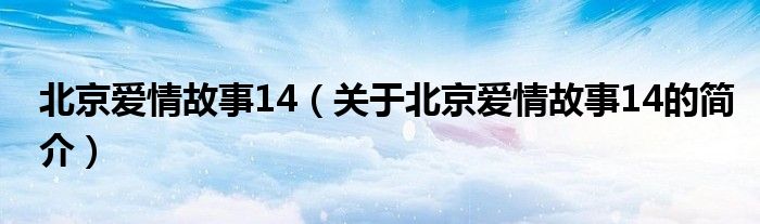 北京愛情故事14（關(guān)于北京愛情故事14的簡介）