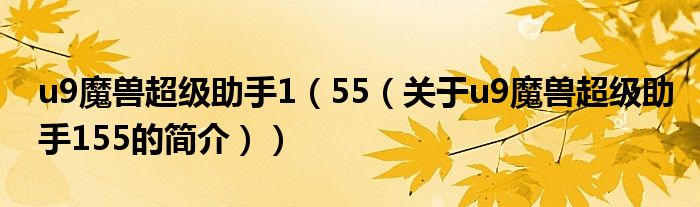 u9魔獸超級助手1（55（關(guān)于u9魔獸超級助手155的簡介））