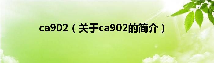 ca902（關(guān)于ca902的簡(jiǎn)介）