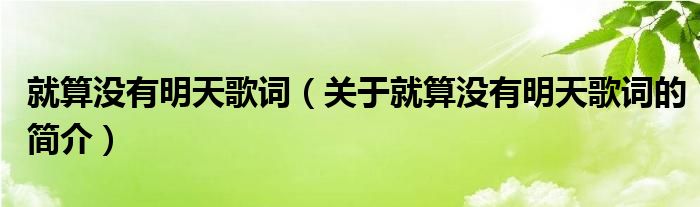 就算沒有明天歌詞（關(guān)于就算沒有明天歌詞的簡(jiǎn)介）