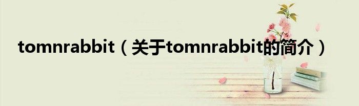 tomnrabbit（關(guān)于tomnrabbit的簡(jiǎn)介）