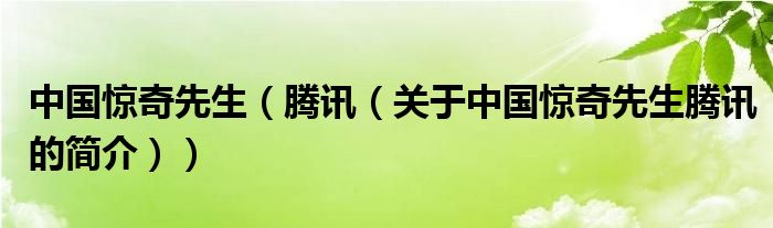 中國驚奇先生（騰訊（關(guān)于中國驚奇先生騰訊的簡介））