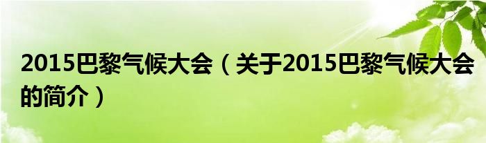 2015巴黎氣候大會（關(guān)于2015巴黎氣候大會的簡介）