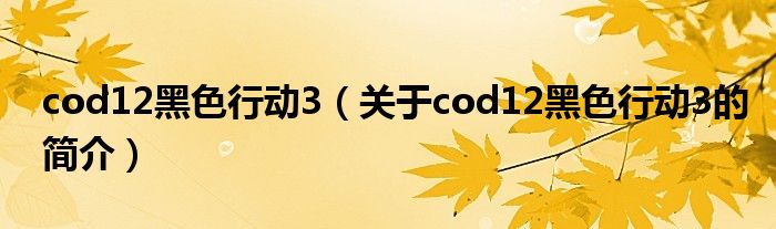 cod12黑色行動3（關(guān)于cod12黑色行動3的簡介）