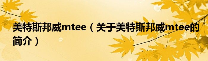 美特斯邦威mtee（關(guān)于美特斯邦威mtee的簡介）