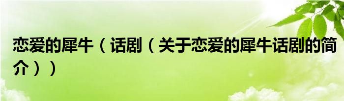 戀愛的犀牛（話?。P(guān)于戀愛的犀牛話劇的簡介））