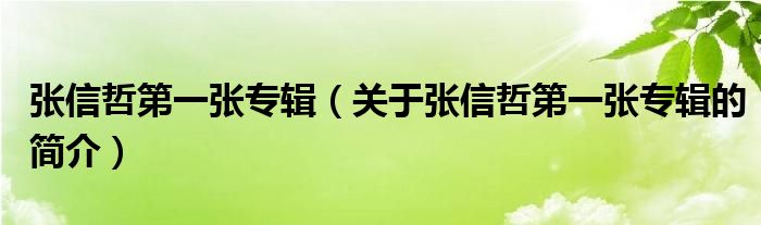 張信哲第一張專輯（關(guān)于張信哲第一張專輯的簡介）