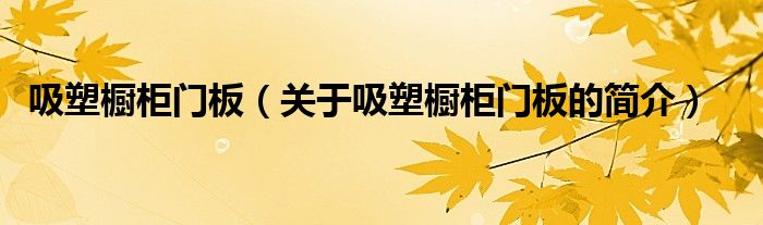 吸塑櫥柜門板（關(guān)于吸塑櫥柜門板的簡(jiǎn)介）