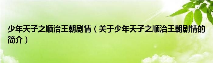 少年天子之順治王朝劇情（關(guān)于少年天子之順治王朝劇情的簡(jiǎn)介）