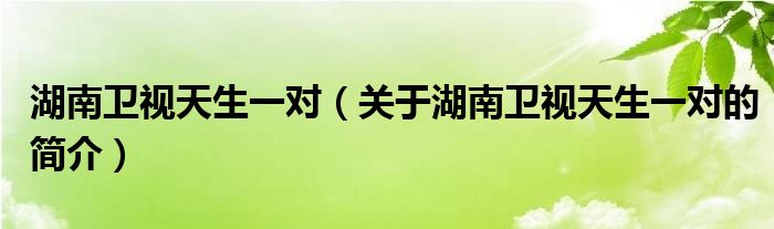 湖南衛(wèi)視天生一對（關(guān)于湖南衛(wèi)視天生一對的簡介）