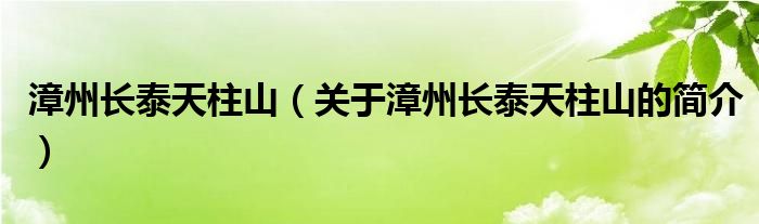 漳州長泰天柱山（關于漳州長泰天柱山的簡介）