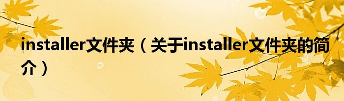 installer文件夾（關(guān)于installer文件夾的簡(jiǎn)介）