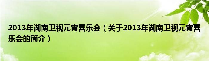 2013年湖南衛(wèi)視元宵喜樂(lè)會(huì)（關(guān)于2013年湖南衛(wèi)視元宵喜樂(lè)會(huì)的簡(jiǎn)介）