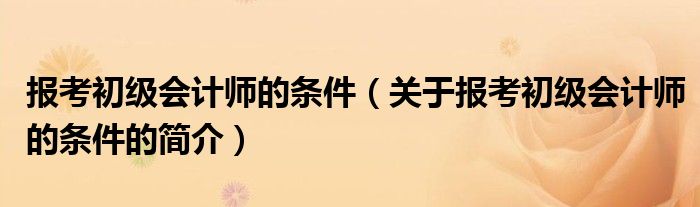 報(bào)考初級會計(jì)師的條件（關(guān)于報(bào)考初級會計(jì)師的條件的簡介）