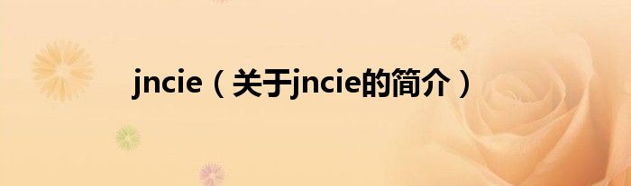 jncie（關于jncie的簡介）