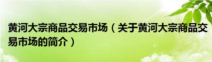 黃河大宗商品交易市場（關(guān)于黃河大宗商品交易市場的簡介）