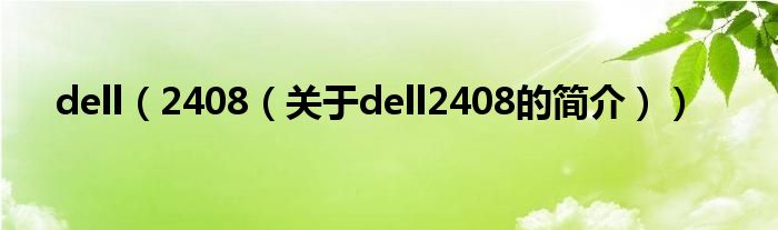 dell（2408（關(guān)于dell2408的簡(jiǎn)介））