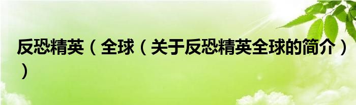 反恐精英（全球（關(guān)于反恐精英全球的簡介））