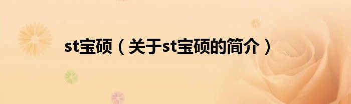 st寶碩（關(guān)于st寶碩的簡(jiǎn)介）