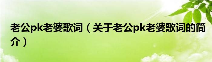 老公pk老婆歌詞（關(guān)于老公pk老婆歌詞的簡(jiǎn)介）