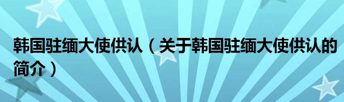 韓國駐緬大使供認（關于韓國駐緬大使供認的簡介）