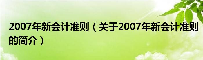 2007年新會(huì)計(jì)準(zhǔn)則（關(guān)于2007年新會(huì)計(jì)準(zhǔn)則的簡(jiǎn)介）