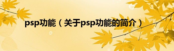 psp功能（關(guān)于psp功能的簡(jiǎn)介）