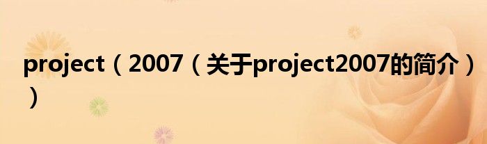 project（2007（關于project2007的簡介））