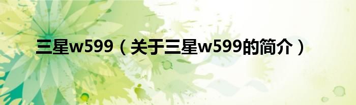 三星w599（關(guān)于三星w599的簡介）