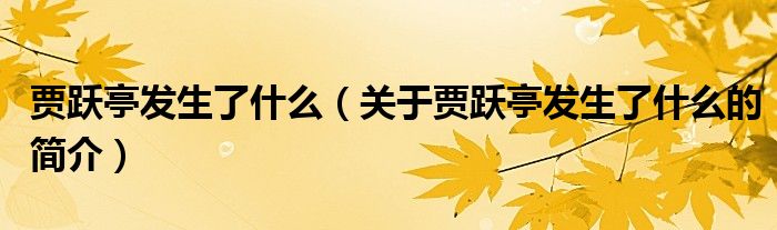 賈躍亭發(fā)生了什么（關(guān)于賈躍亭發(fā)生了什么的簡(jiǎn)介）