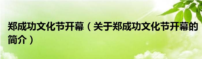 鄭成功文化節(jié)開幕（關(guān)于鄭成功文化節(jié)開幕的簡介）