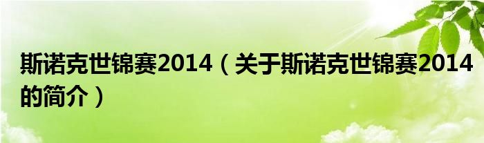 斯諾克世錦賽2014（關(guān)于斯諾克世錦賽2014的簡(jiǎn)介）