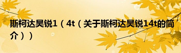 斯柯達(dá)昊銳1（4t（關(guān)于斯柯達(dá)昊銳14t的簡(jiǎn)介））